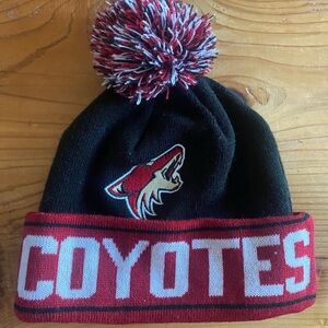 Adult NHL Arizona Coyotes Beanie